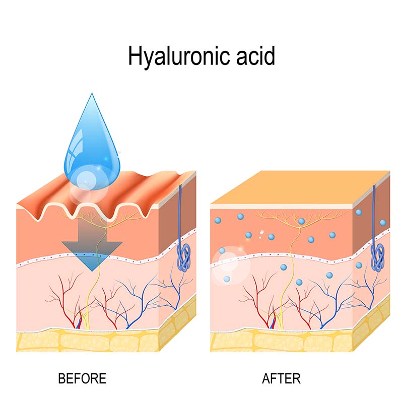 Cơ chế hoạt động của Hyaluronic acid