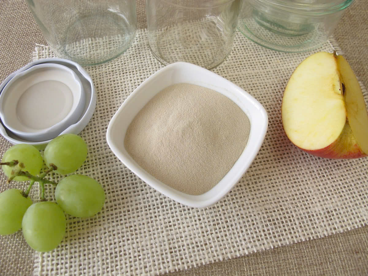 Đặc điểm của bột Agar