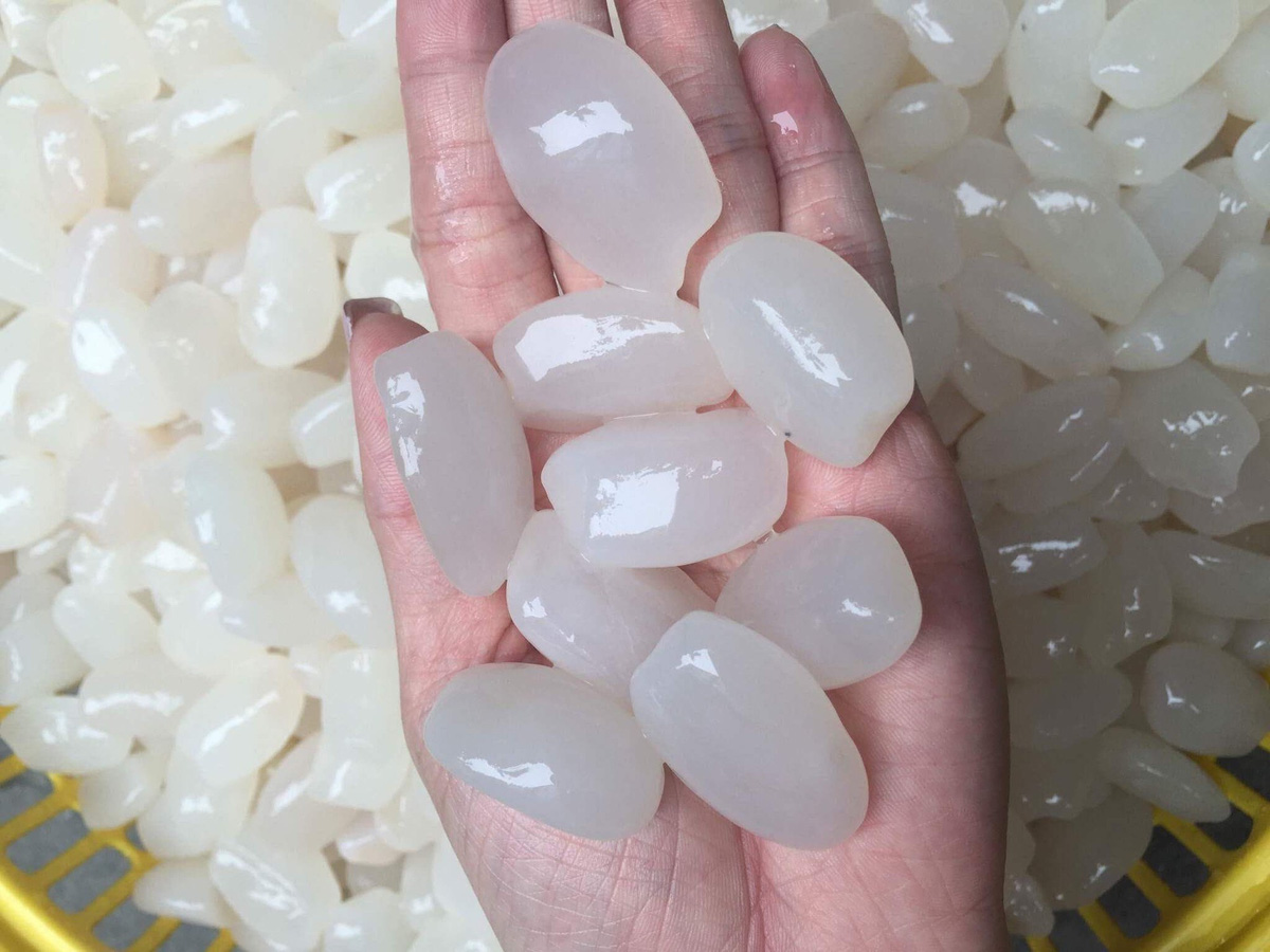C&aacute;ch chọn mua hạt đ&aacute;c