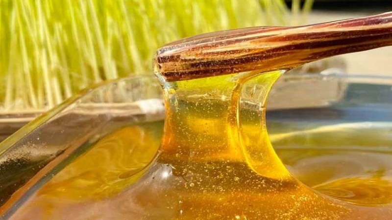 C&aacute;ch l&agrave;m mạch nha 