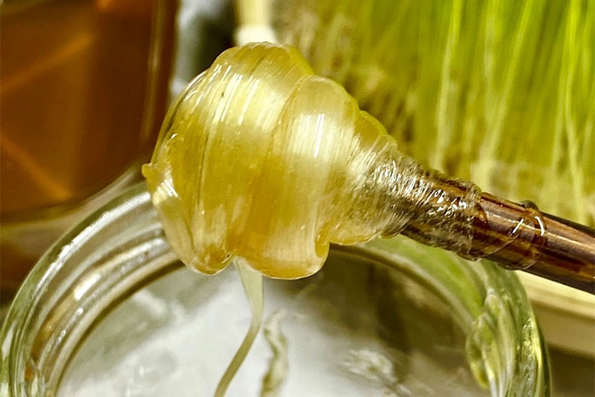 Mạch nha l&agrave; g&igrave;