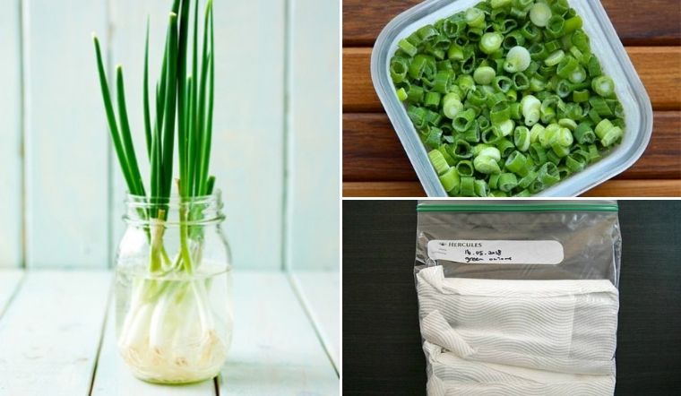 Bảo quản hành baro