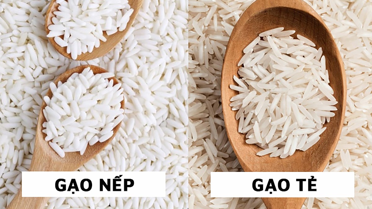 Gạo tẻ những điều cần biết