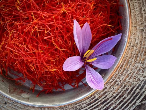 saffron l&agrave; g&igrave;