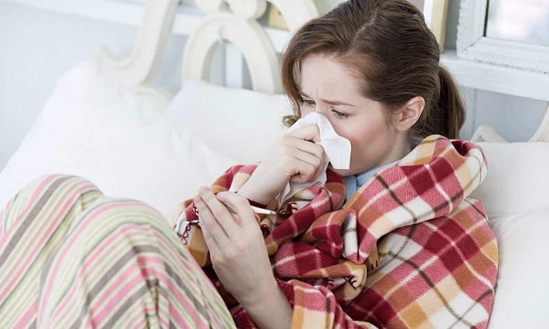Rau kinh giới hỗ trợ điều trị bệnh cảm cúm