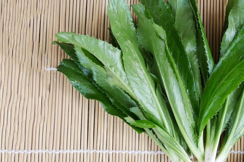 M&ugrave;i t&agrave;u - ng&ograve; gai