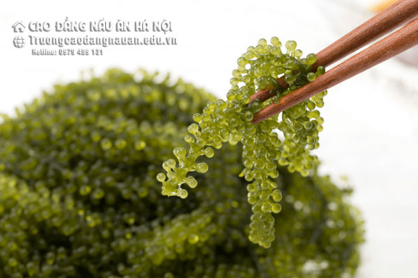 Rong Nho C&oacute; Những C&ocirc;ng Dụng G&igrave;?