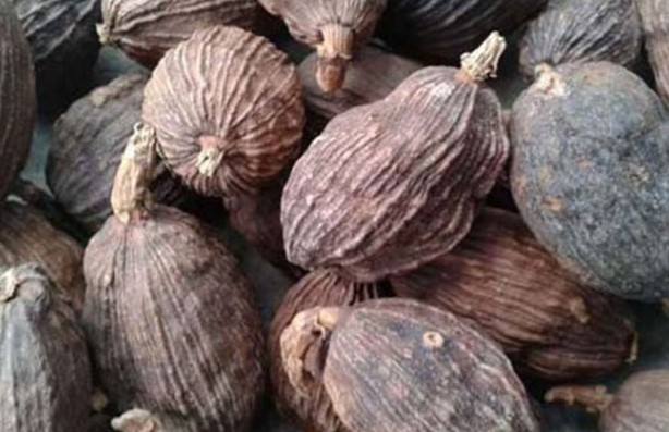 T&aacute;c dụng phụ của thảo quả