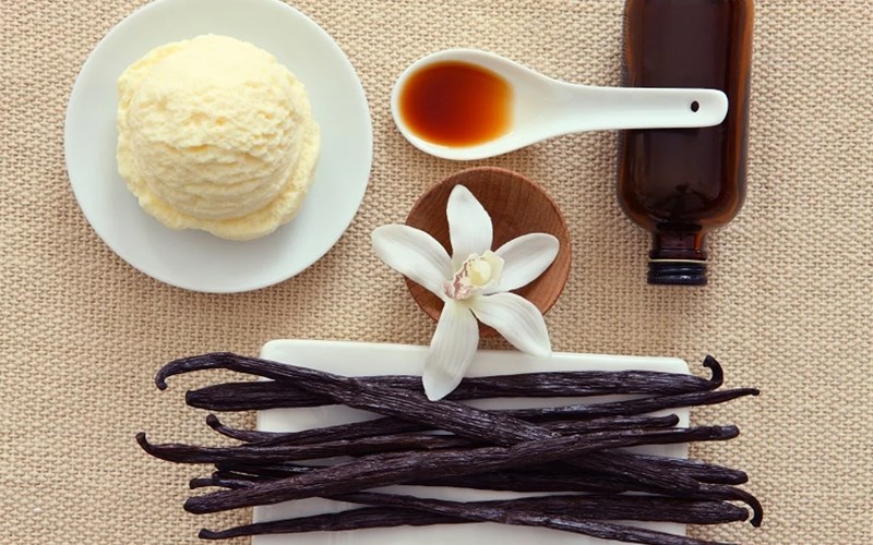 Vanilla l&agrave; g&igrave;?