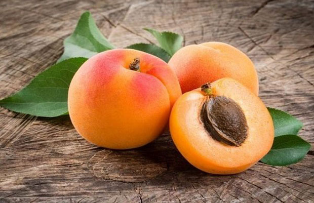 Tr&aacute;i apricot m&agrave;u g&igrave;
