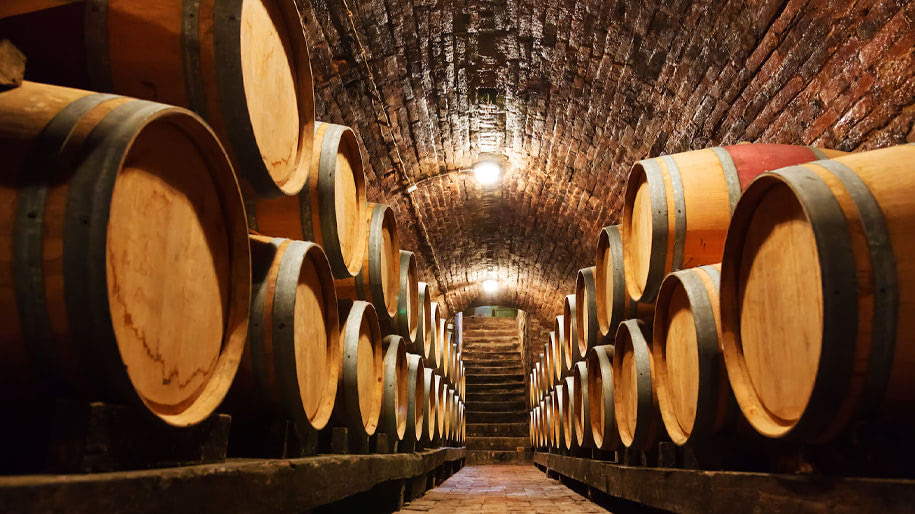 Cách ủ rượu Tequila